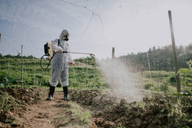 Best Ant Control Services  in Northlake, IL