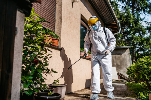 Pest Control for Restaurants in Northlake, IL