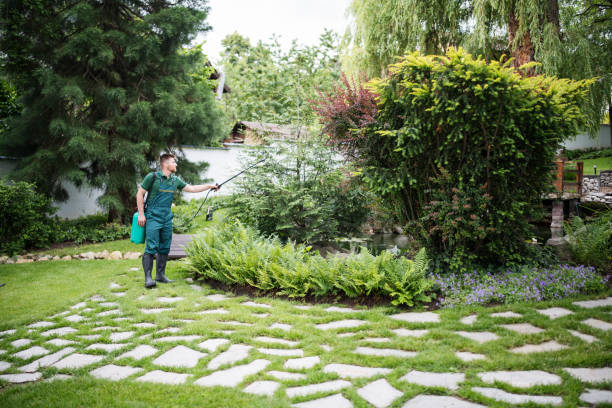 Professional Pest Control in Northlake, IL