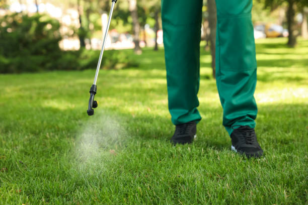 Best Commercial Pest Control Services  in Northlake, IL