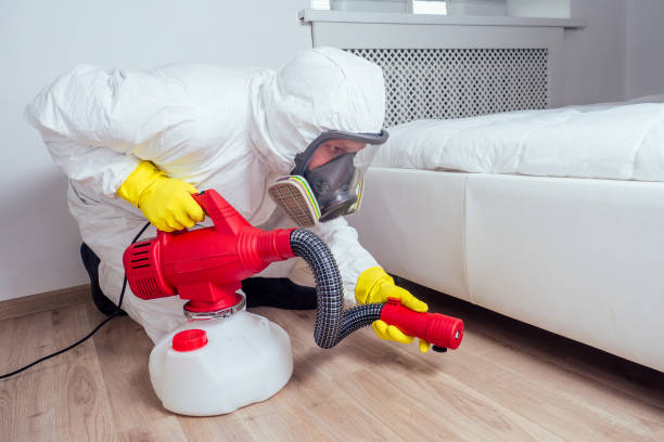 Professional Pest Control in Northlake, IL