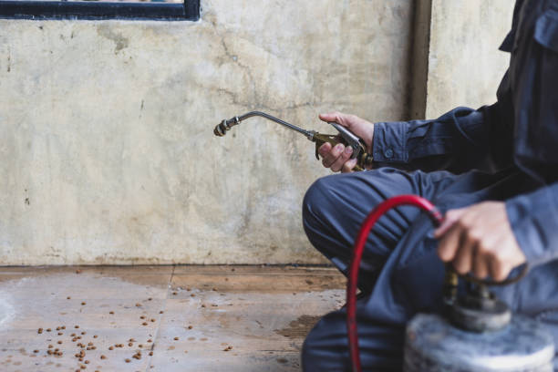 Best Pest Inspection Near Me  in Northlake, IL